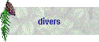 divers